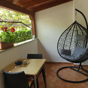 Kiwi Rovigno